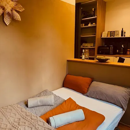 1-zimmer-apartment Mit Balkon Naehe Ice-bahnhof *